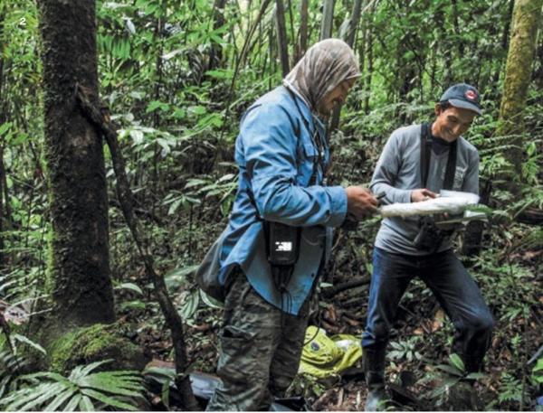 Чем опыт Южной Америки может нам пригодиться