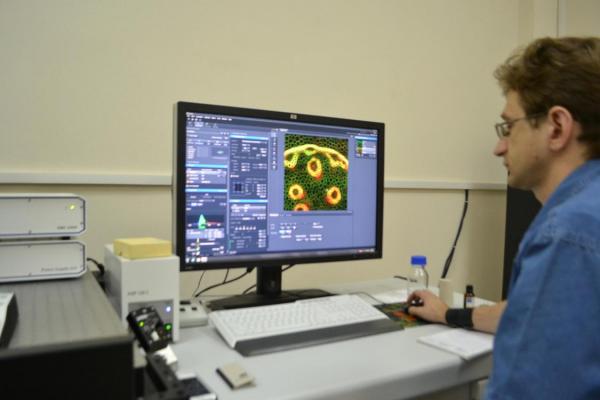 Экскурсия в мир микробиологии
