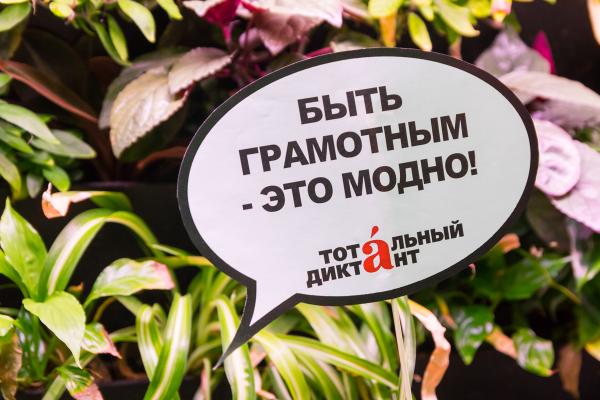 В Новосибирске начали проверять «Тотальный диктант»