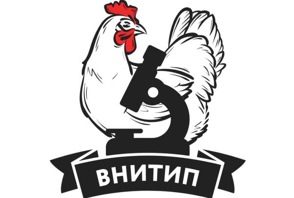 Отечественный кросс кур полностью заменит иностранные аналоги в России