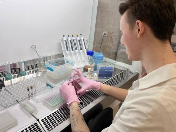 Новосибирский стартап разработал уникальные диагностические тесты для животноводства