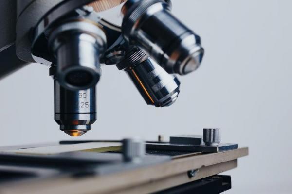 Почему институты РАН отодвинуты в тень науки? 