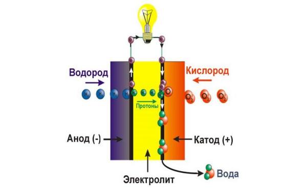 Новые мембраны для топливных элементов (ТЭ) созданы в Академгородке