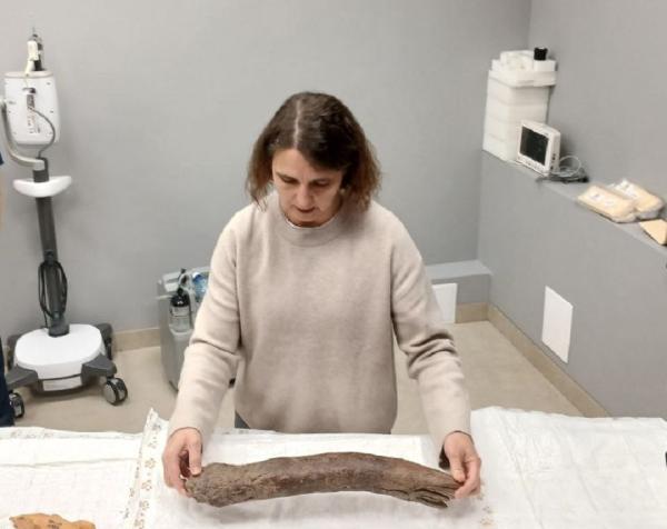 Ученые НГУ впервые в России осуществили томографическое сканирование дефектных бивней мамонтов Ученые НГУ впервые в России осуществили томографическое сканирование дефектных бивней мамонтов