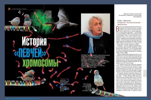 В число лауреатов премии РАН за популяризацию науки вошел сотрудник ИЦИГ СО РАН Андрей Харкевич