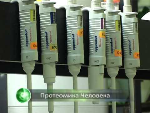 Мы снабжаем организм «оружием» против вирусов