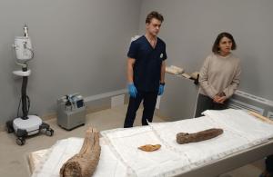 Три бивня мамонтов, найденные на севере Якутии, привлекли внимание ученых своей необычной формой Три бивня мамонтов, найденные на севере Якутии, привлекли внимание ученых своей необычной формой