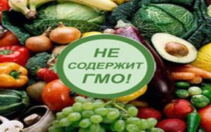 Страхи перед ГМО многократно множатся, усиливаются, тиражируются всякого рода «экспертами»