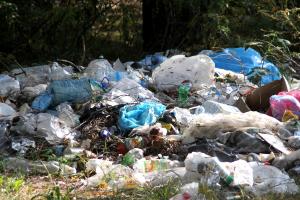 Согласно подсчетом, за год каждый житель планеты оставляет после себя в среднем до 250 кг бытовых отходов. Только бытовых