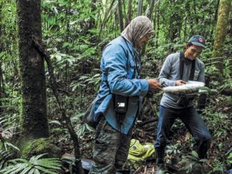 Чем опыт Южной Америки может нам пригодиться