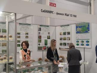 Инновационные разработки сибирских ученых и агротехнологов представлены на выставке «Сибирская аграрная неделя»