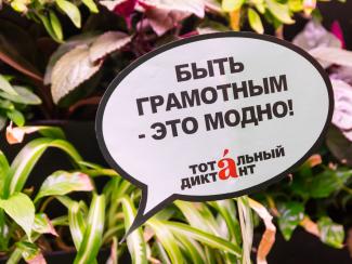В Новосибирске начали проверять «Тотальный диктант»