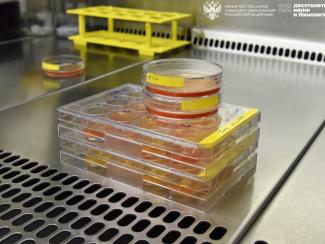 Новый способ оценки эффективности терапии рака предложили ученые Новый способ оценки эффективности терапии рака предложили ученые