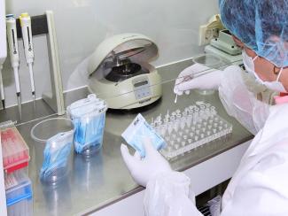 Новосибирская компания ведет разработку ферментов для подготовки NGS-библиотек Новосибирская компания ведет разработку ферментов для подготовки NGS-библиотек