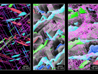 Ученые смоделировали перспективный титановый сплав для медицинской имплантации