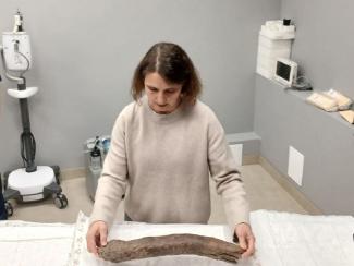 Ученые НГУ впервые в России осуществили томографическое сканирование дефектных бивней мамонтов Ученые НГУ впервые в России осуществили томографическое сканирование дефектных бивней мамонтов