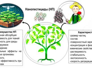 Ученые ИЦиГ СО РАН работают над альтернативой химическим пестицидам